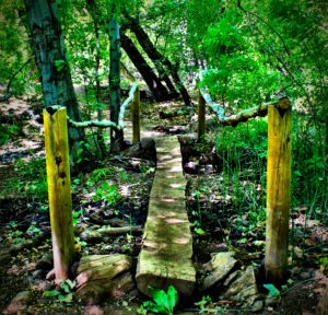 Fossil Creek Waterfall Trail